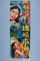 藏品(《魂断南海》電影海報)的圖片