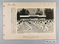 藏品(成功大學52年度運動會團體表演照)的圖片