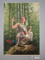 藏品(養樂多單面廣告海報)的圖片