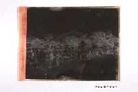 藏品(昭和16年4月19日故蔡媽王氏錦葬式行列照玻璃底片)的圖片