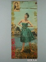 藏品(妥利恩海報)的圖片