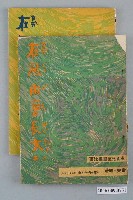 藏品(童叟《在風雨裏長大》 上下集)的圖片
