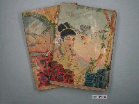 藏品(《神鳥與姑娘》1套2本)的圖片