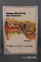 藏品(耳鼻喉科耳部剖面掛圖)的圖片