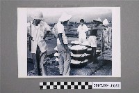 藏品(陳拱北等人訪視鹽田剪影)的圖片