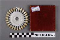 藏品(美國製TWENTIETH CENTURY牙科比色板)的圖片
