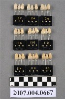 藏品(TRUBYTE BIOBLEND牙科比色板)的圖片