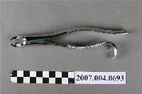 藏品(RODER牙科不鏽鋼拔牙鉗)的圖片