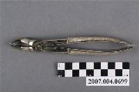 藏品(美國製SSW牙科52ENG拔牙鉗)的圖片