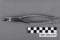 藏品(美國製SSW牙科53-R拔牙鉗)的圖片