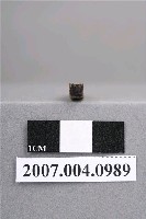 藏品(「F」印章)的圖片