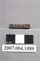 藏品(「齒髓息肉」印章)的圖片