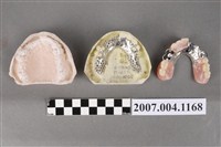 藏品(局部活動假牙製作分解模型)的圖片