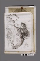 藏品(吳信政編繪〈中華民國〉等地圖製版膠片一批)的圖片