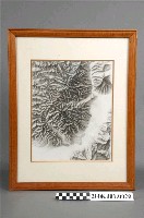 藏品(九九峰地區膠片地形暈渲)的圖片