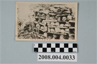 藏品(臺灣原住民人頭骨棚)的圖片