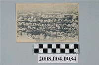 藏品(臺灣寫真製版所印行臺灣原住民人頭骨棚)的圖片