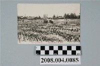 藏品(臺灣農夫收割稻穀)的圖片