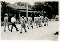 藏品(行進樂隊隊伍)的圖片