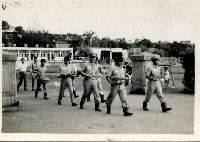 藏品(行進隊伍)的圖片