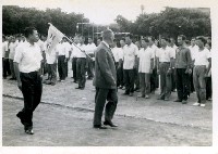 藏品(參謀主任閱兵-3)的圖片