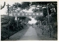 藏品(民防標語布招)的圖片