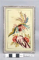 藏品(鳳凰牡丹玻璃畫)的圖片