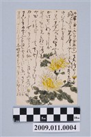 藏品(寄與宮尾豐子菊花明信片)的圖片