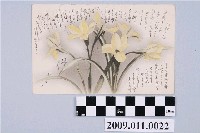 藏品(房子寄與宮尾豐子六朵黃花明信片)的圖片