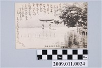 藏品(寄與宮尾豐子遠眺宮島大鳥居明信片)的圖片