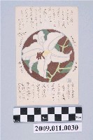 藏品(長澤義郎寄與宮尾豐子百合花明信片)的圖片
