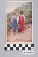藏品(泰雅族卡奧灣群婦女)的圖片