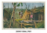 藏品(泰雅族烏來社家屋)的圖片