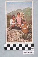 藏品(卡奧灣泰雅族家族)的圖片
