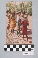 藏品(背籃的泰雅族婦女)的圖片