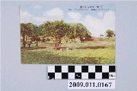 藏品(基隆高砂公園)的圖片