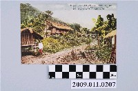 藏品(泰雅族烏來社屋舍)的圖片