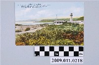 藏品(（臺灣八景之一）鵝鑾鼻)的圖片