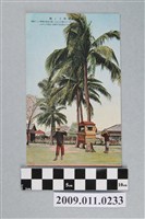 藏品(椰子樹與轎子)的圖片