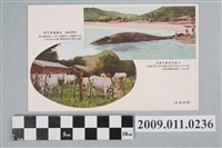 藏品(臺灣恆春恆春種畜支所、大板埒捕鯨之實況)的圖片