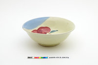 藏品(彩繪蘋果紋碗)的圖片