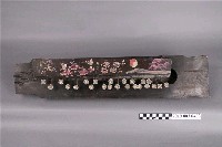 藏品(中山琴)的圖片