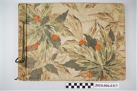 藏品(私立臺南長老教中學相簿)的圖片