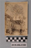 藏品(阿里山國家公園旅遊留影照)的圖片