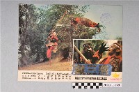 藏品(《唐三藏》電影宣傳海報7)的圖片