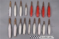 藏品(補網針含漁線)的圖片