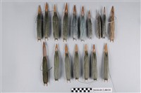 藏品(補網針含漁線)的圖片