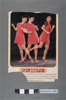 藏品(太子龍月曆)的圖片