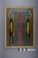 藏品(正老山高麗蔘鏡)的圖片