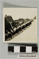 藏品(臺東各界慶祝第十二屆軍人節大會遊行女學生隊伍)的圖片